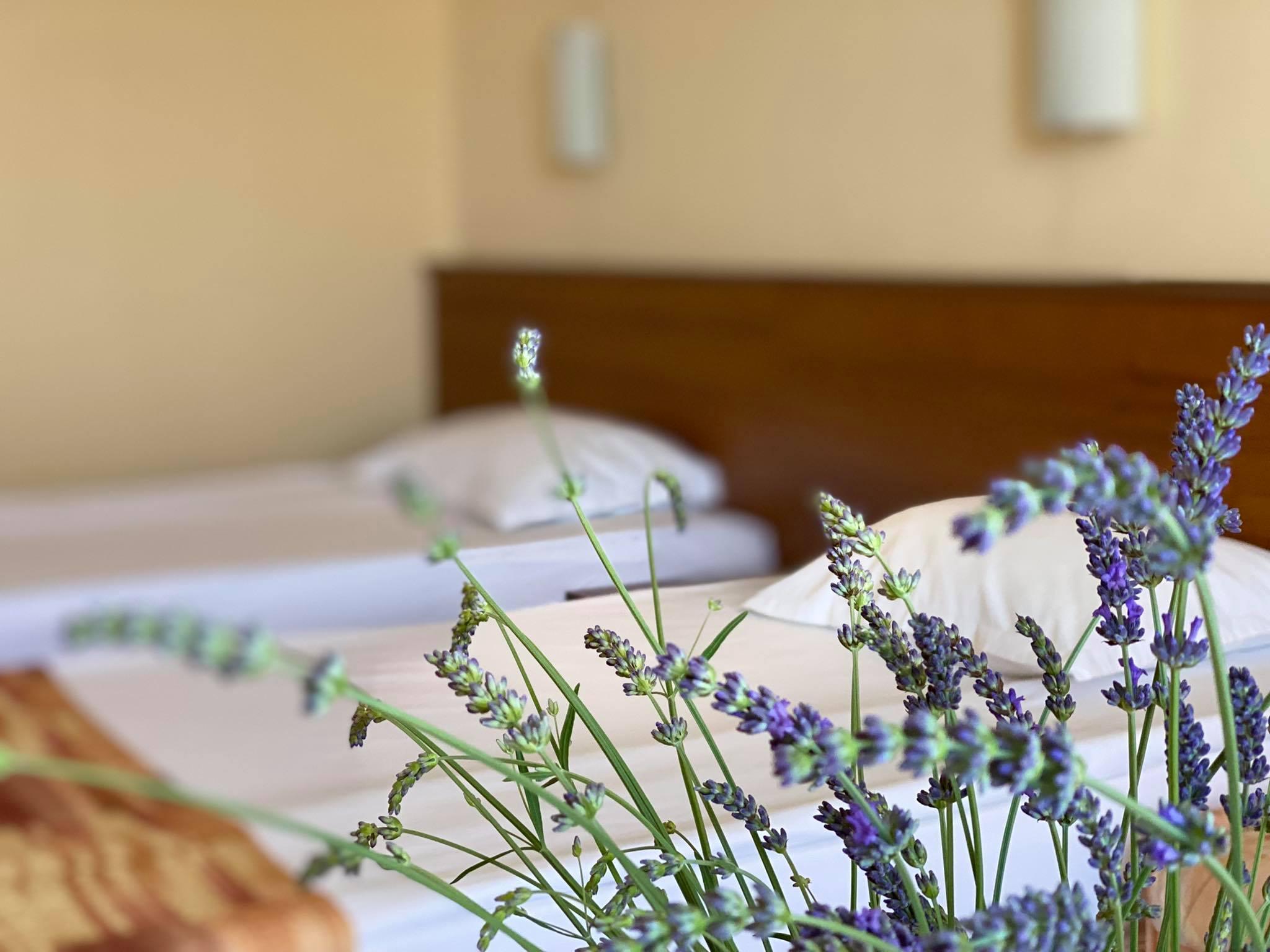 פרימורסקו Hotel Plamena Palace מראה חיצוני תמונה