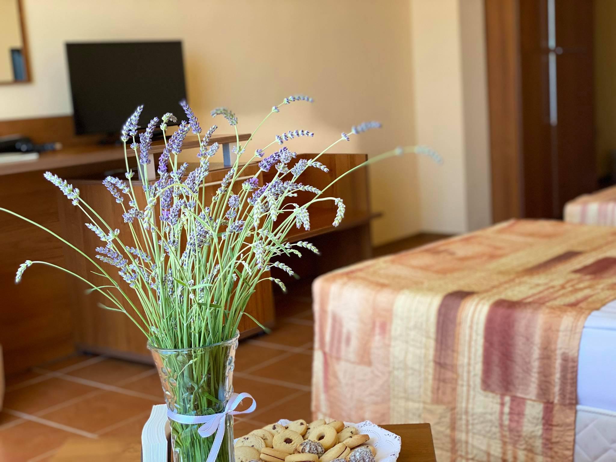 פרימורסקו Hotel Plamena Palace מראה חיצוני תמונה